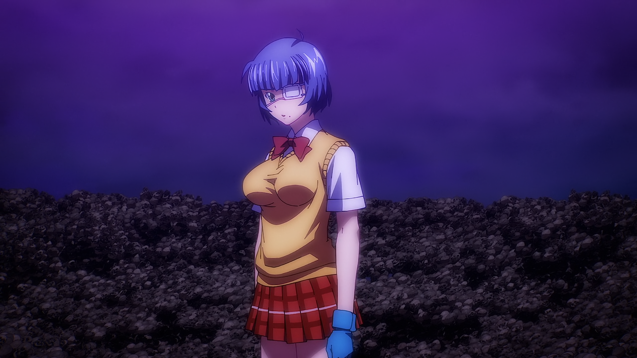 Shin Ikkitousen (Zenryoku Fansub)